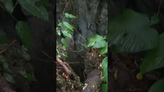 Sinkhole in the Mountain #very big hole in the Mountain #hiking at Tangkong Baka, Philippines