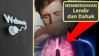 Dahak dan Lendir: Memahami Penyebab dan Tips Membersihkan Dahak dan Lendir dari Paru-paru