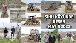 ŞIHLI KÖYÜNDE KEŞEN ÇEKİMİ -05-06 MAYIS 2022- BOYABAT ŞIHLI KÖYÜ