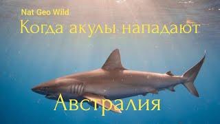 Nat Geo Wild. Когда акулы нападают. Австралия.