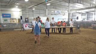 2018 Lancaster County Super Fair - 4-H Poultry Show