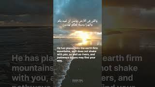 The Lightالنور #shorts