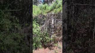 Georgia Land for Sale | | 3.08 acres | Only 20 mins from Lake Oconee | Paved Road | High & Dry