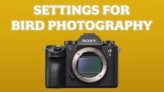 Sony Camera Settings for Bird & Wildlife Photography: My Setup and Custom Buttons for a9 a7R III IV