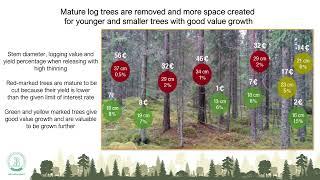 2- CONTINUOUS COVER FORESTRY ECOLOGY - Dr. Yrjö Norokorpi -  Silva ry