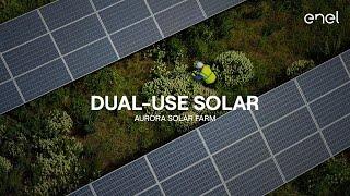 Aurora solar farm and dual-use solar | Enel North America