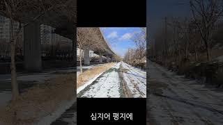 서울단독주택 2억원(내부순환도로안 평지) 빌라 보증금 아님 #단독주택#서울주택매매 #부동산경매