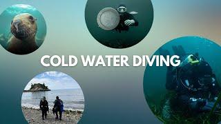 Cold Water Diving, What to Expect | Vancouver BC, Canada