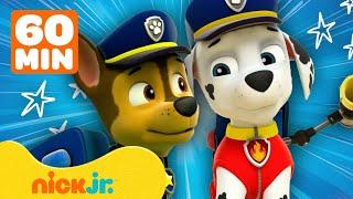 Paw Patrol - La Squadra dei Cuccioli | Le migliori missioni di salvataggio!  | 1 ora | Nick Jr.