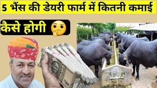 पांच भैंस के डेयरी फार्म में कितनी कमाई और कैसे/How to Start Dairy Farm in India Hindi Part-4