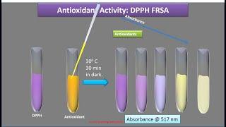 Antioxidant Assay Principle & Process (DPPH & H2O2): Dr. Bhushan P Pimple