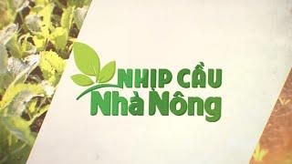 Trực tiếp -  Nhịp cầu nhà nông: "Sử dụng chế phẩm sinh học  trong chăn nuôi hiệu quả"