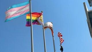 Petition started to reverse Trump's planned cuts to LGBTQ+ youth crisis line