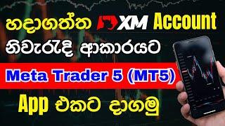 සාදාගත් xm ගිනුම meta trader 5 (mt5) app එකට දාගමු