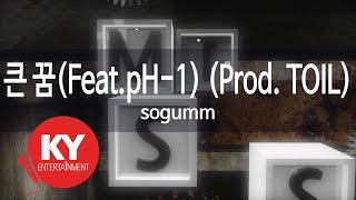 [KY 금영노래방] 큰 꿈(Feat.pH-1) (Prod. TOIL) - sogumm (KY.21234) / KY Karaoke