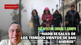 Nadie se salva de los temidos Vientos de San Andrés | Sus efectos en la agricultura