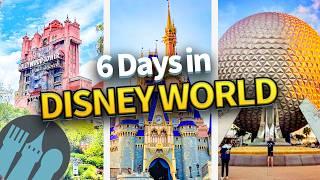 The ULTIMATE 6 Day Disney World Trip Itinerary