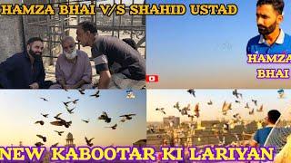 Hamza Bhai V/S Shahid Ustad | 400 NEW PIGEON ki ladaiyan | Gola kabutar ki video cages | gola pigeon