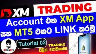 How to Link your XM Trading Account XM app and MT5/MT4 app Tutorial 02 | Meta Trader 5 Link XM