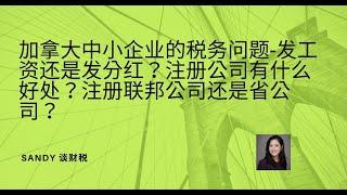 加拿大中小企业的税务问题-是发工资还是发分红好? 注册公司有什么好处？联邦公司好还是省公司好？