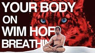 Control your Breath, Control your Body (Wim Hof Explained)