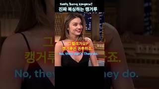 선빵에 어리둥절한 캥거루_미란다커 #영어듣기