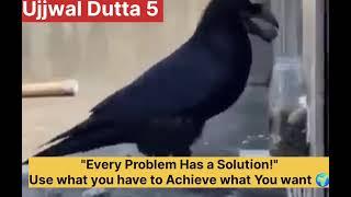 " Every problem has a solution" Use what you have to Achieve what you want!