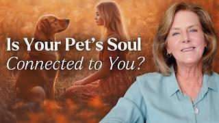 How to Know Your Pet’s Soul is Connected to Yours (12 Signs of Pet Soul Connection)