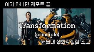 How to transformation (이론) | 형질전환 | competent cell | heat shock, electroporation, SOC Recovery