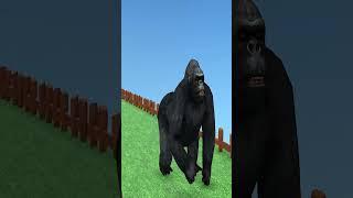 Gorilla Funny Cartoon Video