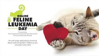 De-escalating FeLV | Dr. Heather Kennedy | 2021 Feline Leukemia Day