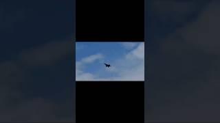 F-22 Raptor In Free Fall | US Air Force #fighterjet #airforce