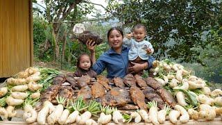 Harvest the garden of radishes and dried fish to sell at the market - cook with your children