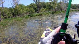 Kayak Fishing - Feelfree Lure 13.5 Overdrive Initial review and spring fishing