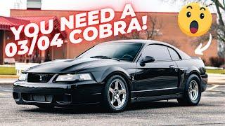 SVT Cobra Terminator - Buy One NOW!