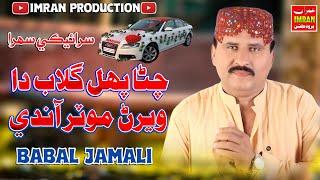 Chita Phul Gulab Da | Babal Jamali |(Sraiki Official Sehra) | Imran Production