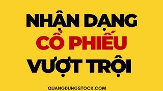 NHẬN DẠNG CỔ PHIẾU VƯỢT TRỘI | ĐẦU TƯ CHỨNG KHOÁN