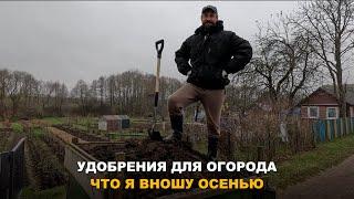 НАВОЗ НА ОГОРОДЕ ВСЕМУ НЕОБХОДИМ. Как я применяю навоза в огороде осенью и где я его беру.