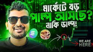 SOLANA ECOSYSTEM COINS | TRON | SUNDOG | CRYPTO NEWS BANGLA | BITCOIN | MARKET UPDATE