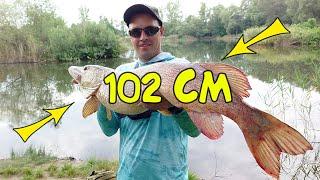  My record! A trophy pike over a meter on homemade jerkbait! 