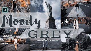 Moody Grey Lightroom Mobile Presets - Lightroom Tutorial | Free Presets