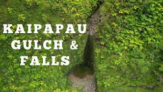 Kaipapau Gulch & Falls | Secret Waterfall Hike - Oahu, Hawaii