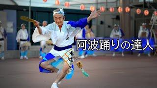 阿波踊りの達人！