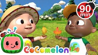 Let's Follow The Stream Song | CoComelon - It's Cody Time | CoComelon Kids Songs & Nursery Rhymes