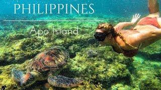 Exploring Apo Island - Swimming With Turtles In Dumaguete Philippines