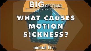 What causes motion sickness?  - Big Questions - (Ep. 210)