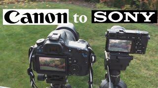 Why I Switched to the Sony A6000