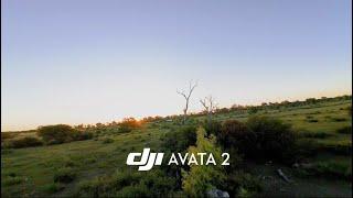 DJI Avata 2 (Manual/Acro Flight)