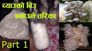 How to make oyster mushroom spown - च्याउको बिऊ बनाउने तरिका   Part 1