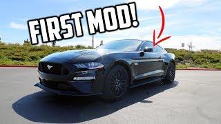 This made my 2019 Mustang GT LOOK SO MUCH BETTER!